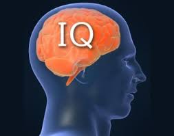 Drink-Sperm,-Improve-Your-Intelligence-Quotient-(IQ)-on-HWN-FACTS