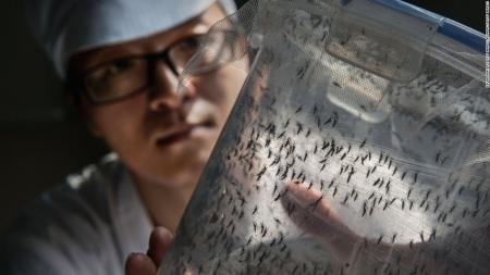 Zhiyong-Xi,-the-scientist-behind-china-mosquito-factory-on-HWN-INSIGHTS