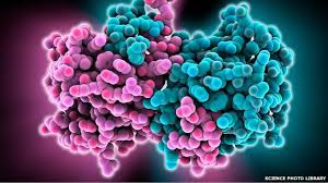 Ebola-virus-disease-rumors-in-Nigeria-on-HWN-EBOLA-BREAKING