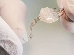 Spinal-Implants-That-Will-Help-Paralyzed-Humans-Walk-Again,-Coming-Soon-on-HWN-INSIGHTS