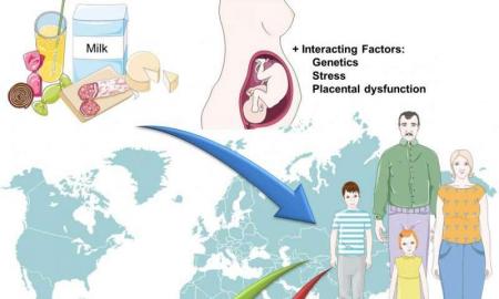 Cardiovascular-disease,-diabetes-and-cancer-influenced-by-height-on-HWN-INSIGHTS