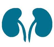 Water-Wise,-Healthy-Kidneys-on-HWN-INSIGHTS