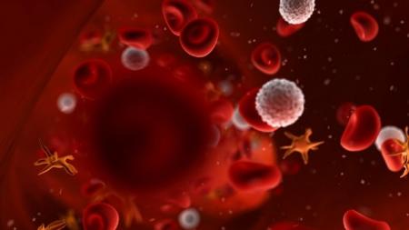 Numerous-Women-Removing-Healthy-Breast-After-CA-Diagnosis-on-HWN-CANCER
