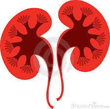 Analysing-Interstitial-Cystitis-on-HWN-INSIGHTS
