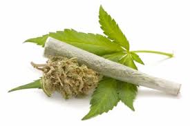 Combating-substance-abuse-cum-mental-health-disorders-with-Marijuana-on-HWN-INSIGHTS