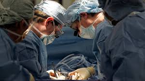Kidney-donations-suspended-in-San-Francisco-hospital-on-HWN-HIGHLIGHT