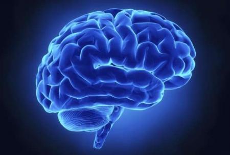 Violence-region-identified-in-the-brain-on-HWN-RESEARCH