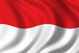 Zika-virus-hits-Indonesia-on-DWN-ZIKA-VIRUS-UPDATE