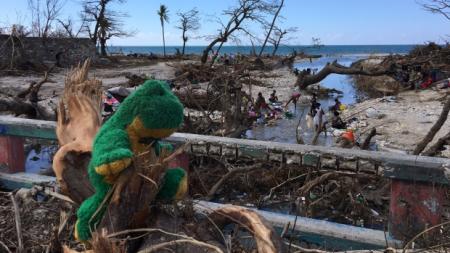 After-the-hurricane-comes-cholera-outbreak-in-Haiti-on-HWN-CHOLERA-UPDATE