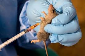 Deadly-Lassa-Fever-Hits-Ondo-state-on-HWN-LASSA-FEVER-UPDATE
